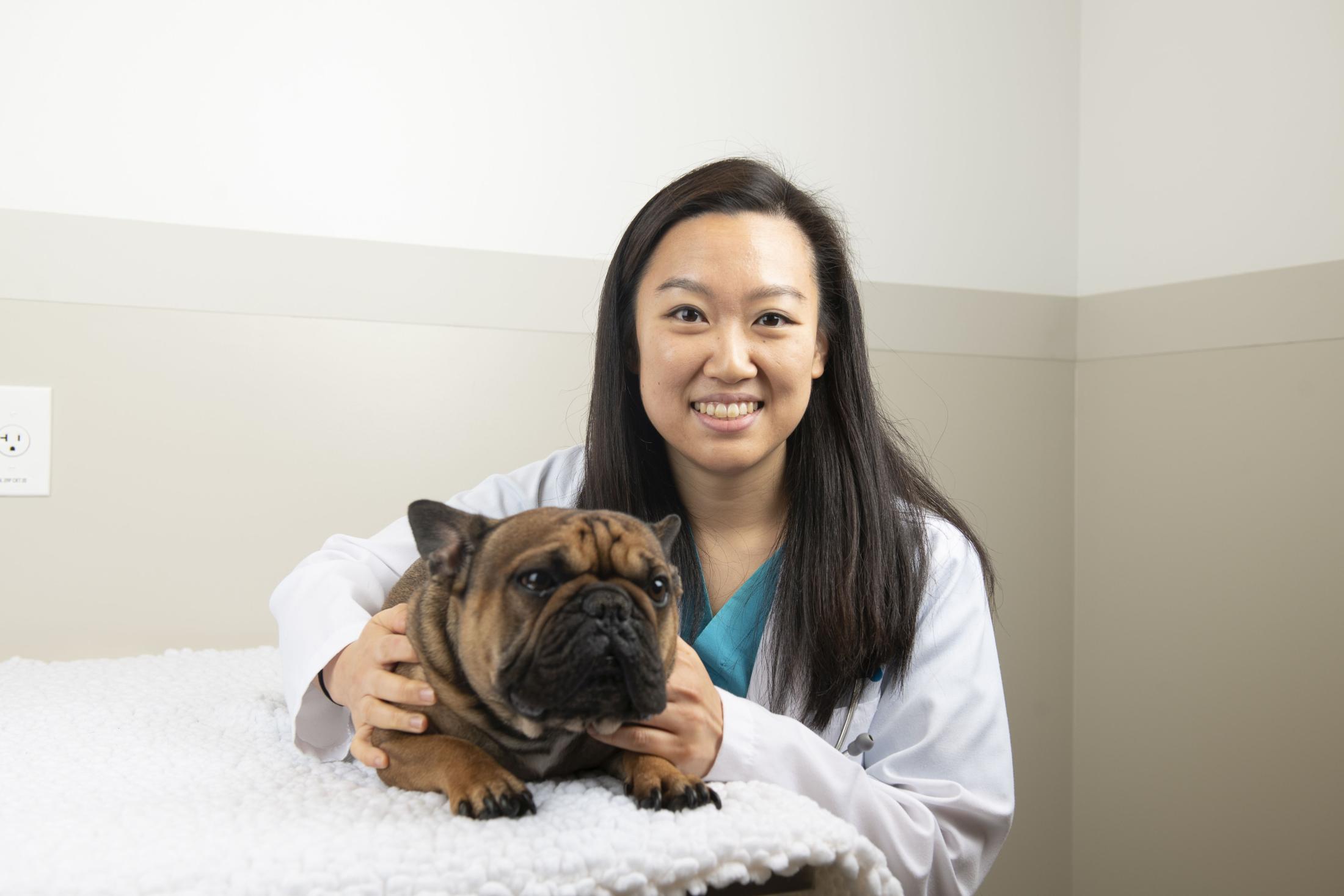 Small Animal Clinic Veterinary Medical Center School of Veterinary